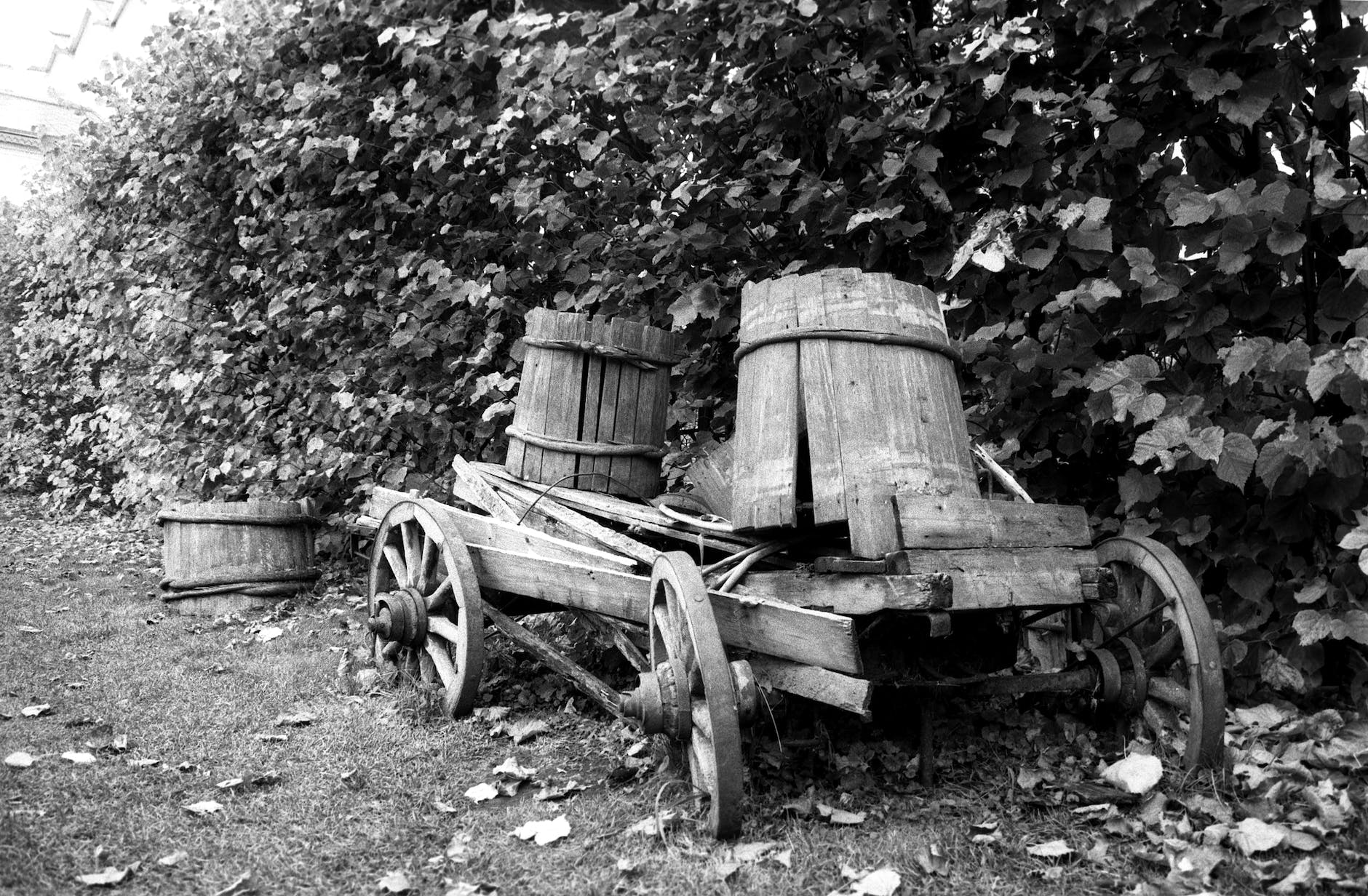an old cart and barrels